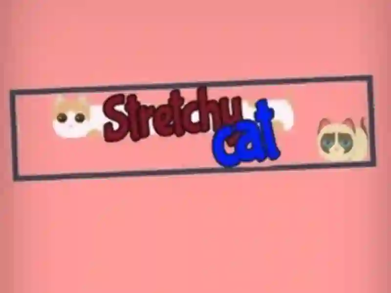 Spēle Stretchy Cat online