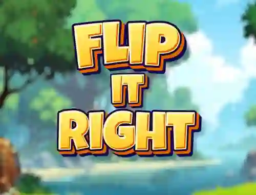 Spēle Flip It Right online