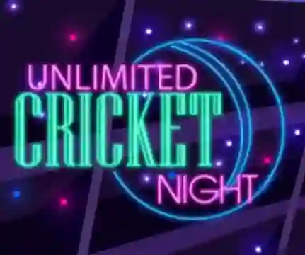 Spēle Unlimited Cricket Night online