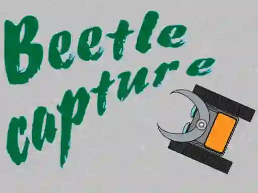 Spēle Beetle Capture online