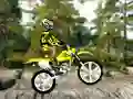 Spēle Trial Bike 2 online