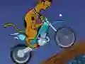 Spēle Scooby Doo Trail online