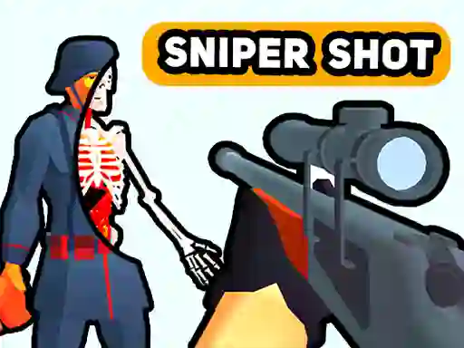 Spēle Sniper Shot: Bullet Time online