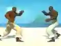 Spēle Capoeira fighter online