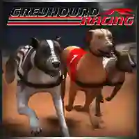 Spēle Greyhound Racing online