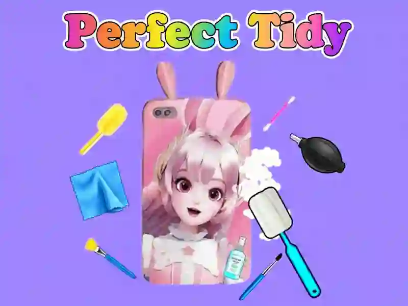 Spēle Perfect Tidy online