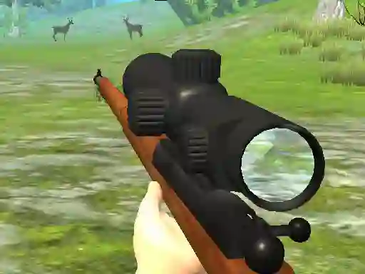 Spēle Hunter 3D online