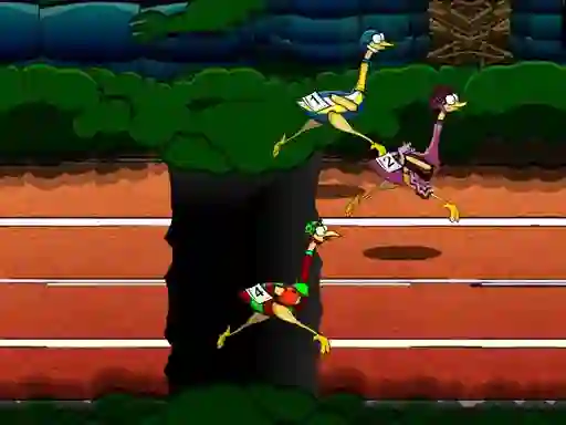 Spēle Big Birds Racing online