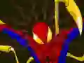 Spēle Spiderman Customization online
