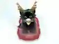 Spēle Pet Sledding online