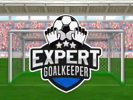 Spēle Expert Goalkeeper online