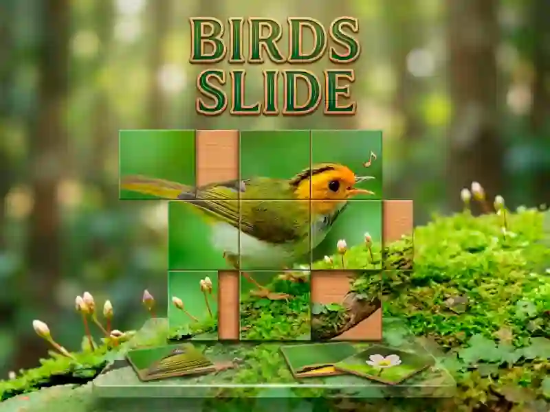 Spēle Birds Slide online