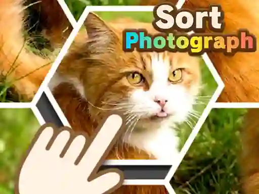 Spēle Sort Photograph online