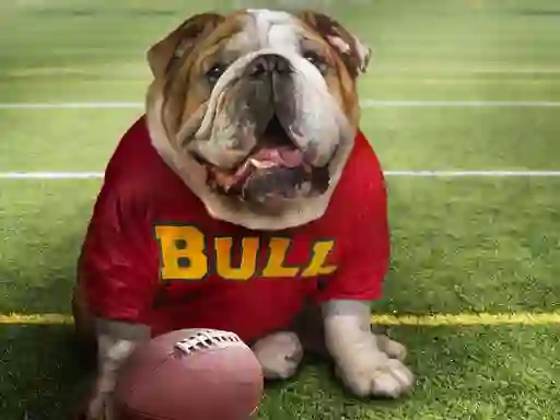 Spēle Funny Doggy online