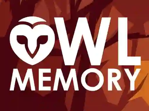 Spēle Owl Memory online