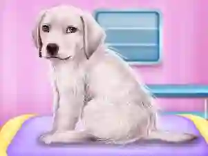 Spēle Labrador at the doctor salon online