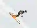 Spēle Ski Sim online