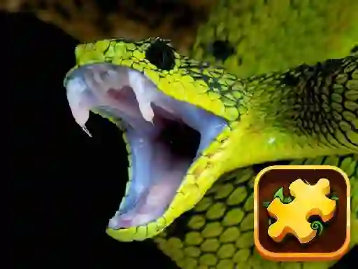 Spēle Snake Puzzle Challenge online