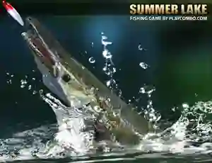 Spēle Summer Lake online