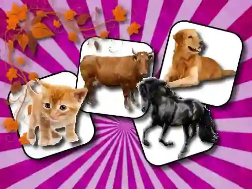 Spēle Domestic Animal Memory Challenge online