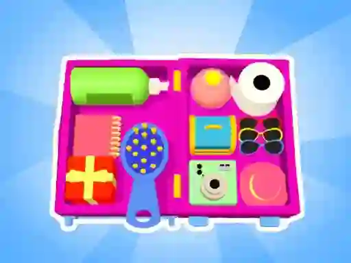 Spēle Organizer master online