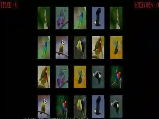 Spēle Memorize the birds online