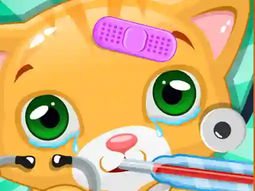 Spēle Little Cat Doctor online