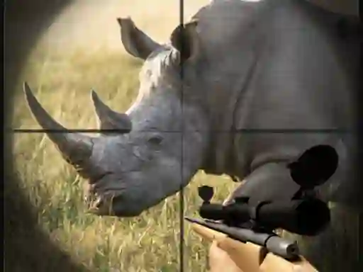Spēle Wild Rhino Hunter online