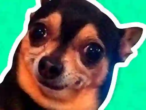 Spēle What meme dog are you ? online