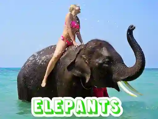 Spēle Elephants Puzzle online