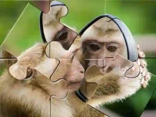 Spēle Chimpanzee Jigsaw online