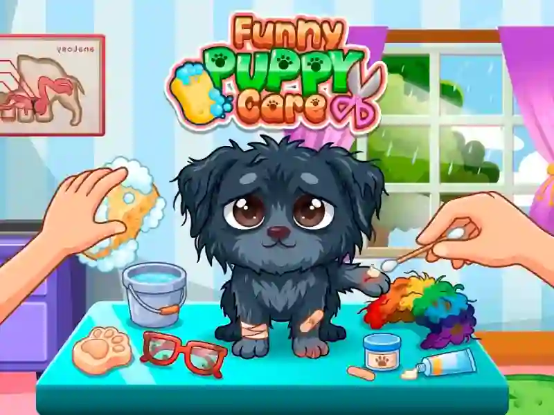 Spēle Funny Puppy Care online