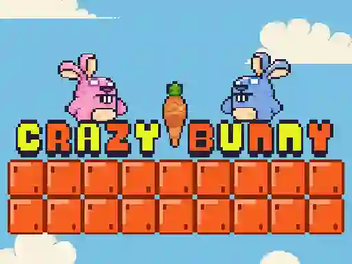 Spēle Crazy Bunny online