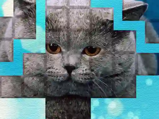 Spēle PicPu Cat online