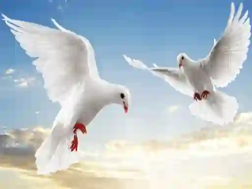 Spēle Flying Birds online