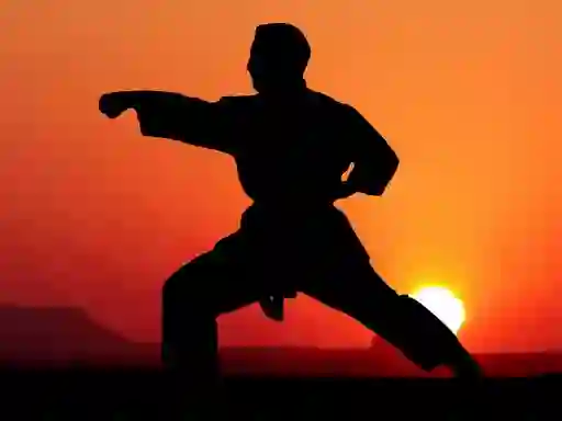 Spēle Karate Sunset Warriors online