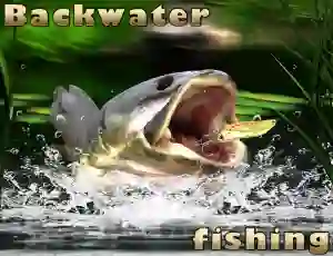 Spēle Backwater Fishing online