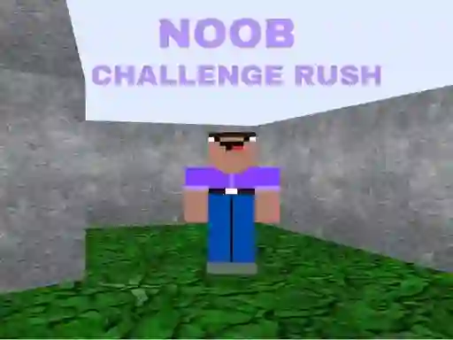 Spēle Noob Challenge Rush online