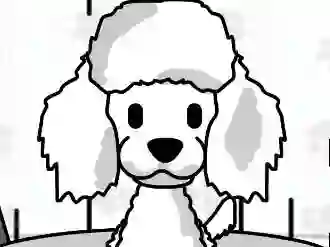 Spēle Pampered Paws Doggy Day online