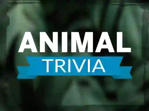 Spēle Animal Trivia online