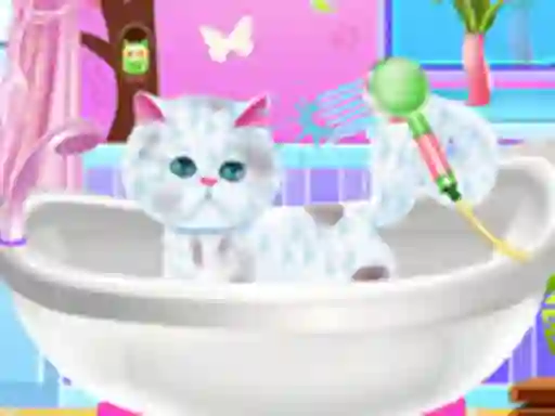 Spēle Excellent Pet Groomer online
