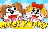 Spēle Meet Puppy online