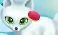 Spēle Paws to Beauty Arctic Edition online
