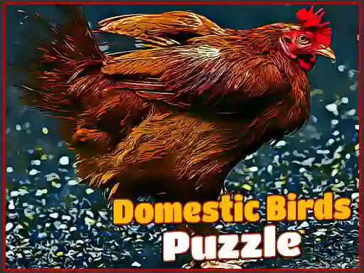 Spēle Domestic Birds Puzzle online