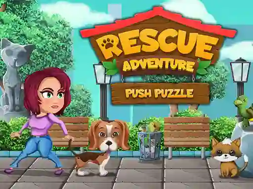 Spēle Rescue Adventure Push Puzzle online