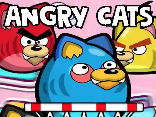 Spēle Angry Cats online