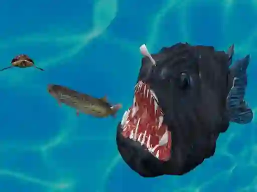 Spēle Fish 3d online