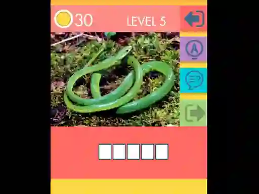 Spēle 15 Picture Quiz online