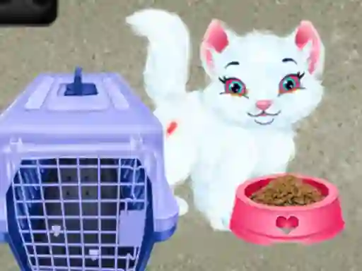 Spēle Baby Taylor Pet Care online