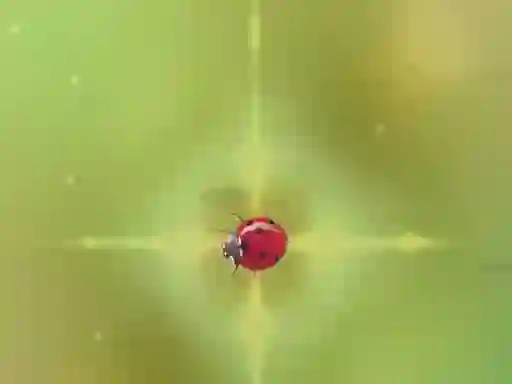 Spēle Pest Control online
